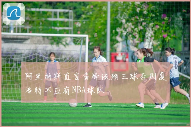 阿里纳斯直言黄蜂依赖三球否则夏洛特不应有NBA球队