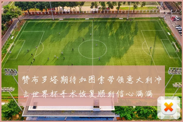 赞布罗塔期待加图索带领意大利冲击世界杯手术恢复顺利信心满满