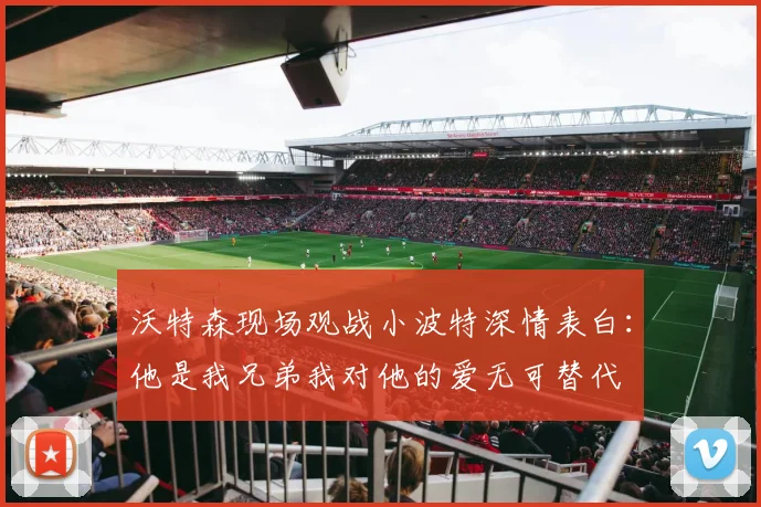 沃特森现场观战小波特深情表白：他是我兄弟我对他的爱无可替代