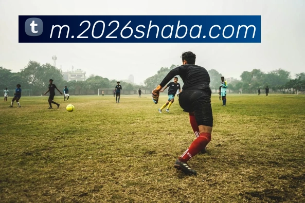 沙巴体育APP 封面图